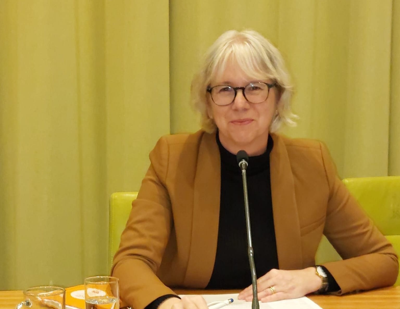 Anne-Marie Apswoude Anne-Marie Apswoude als commissie voorzitter