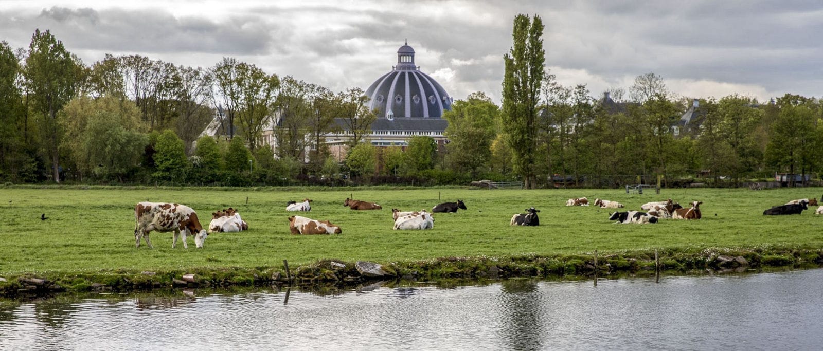 ’t Groot Clooster in Heemstede 't Groot Clooster in Heemstede